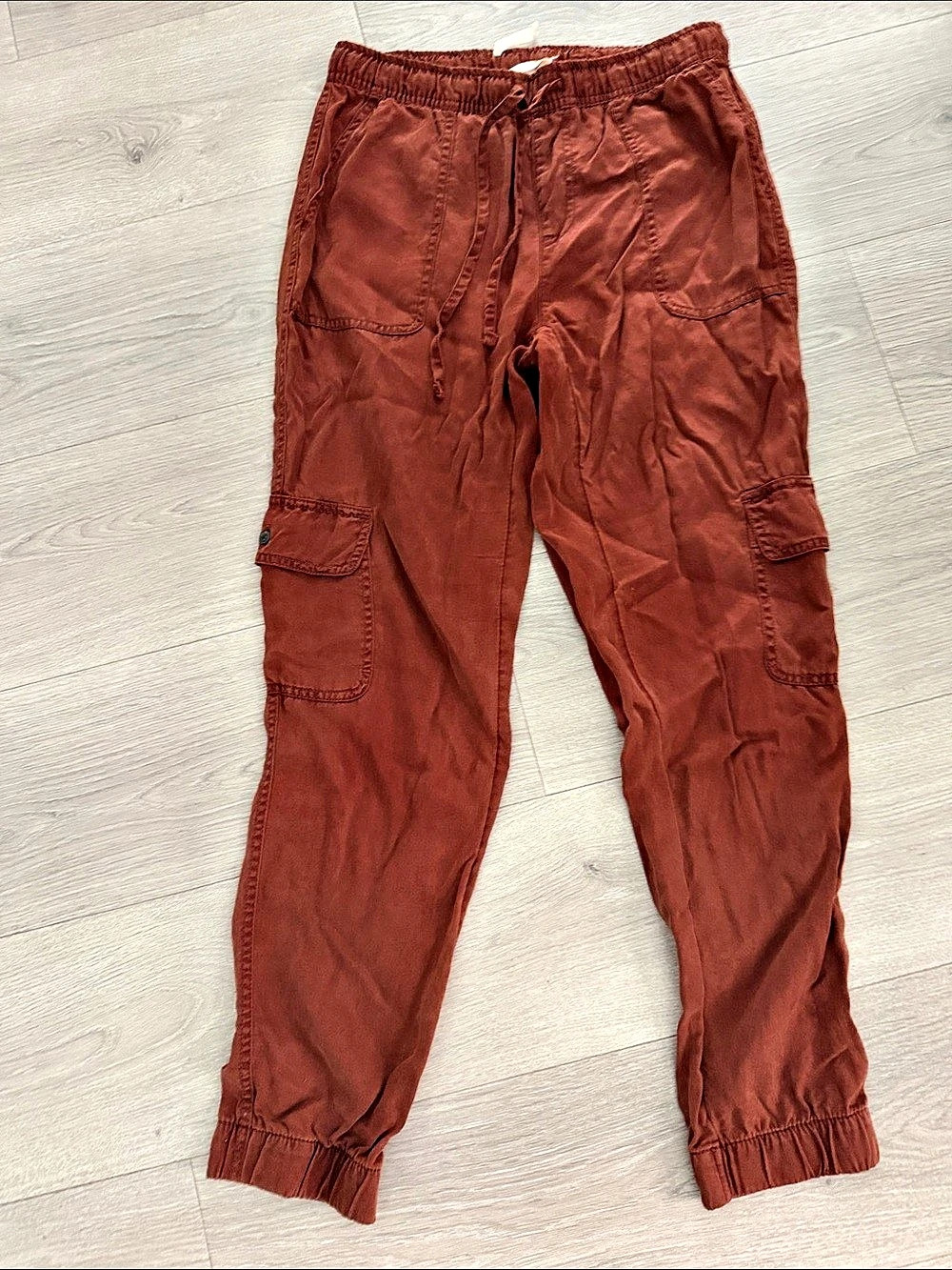 California Lyocell Cargo Jogger Pants in Burnt Rust/Orange Size Small